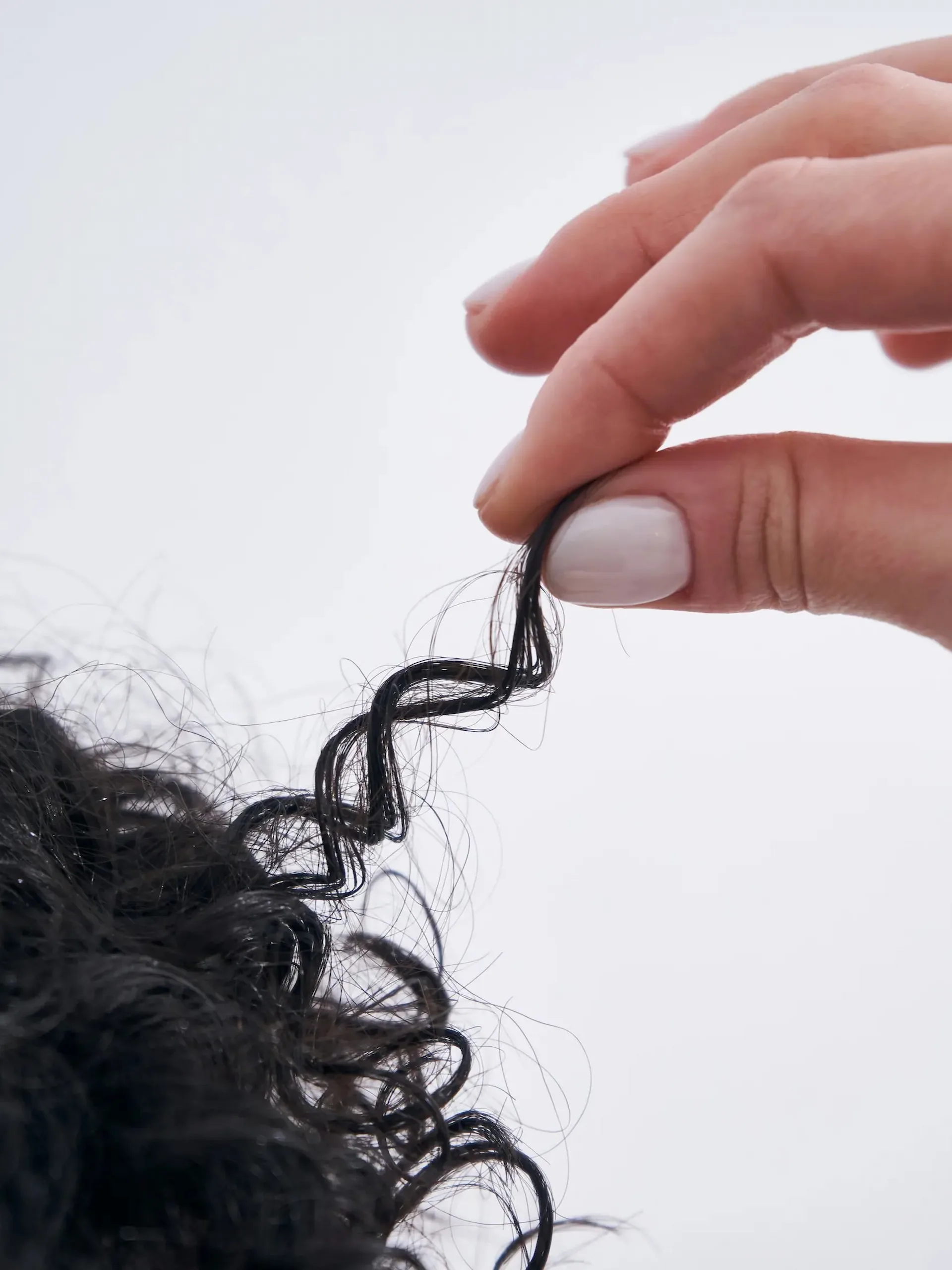 Close-up of a hand holding a perfectly defined and bouncy curl to demonstrate hair elasticity after using cadó styling products.
